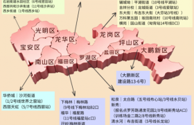 深圳驾培观察：通品驾校龙岗网点与教学体系解读